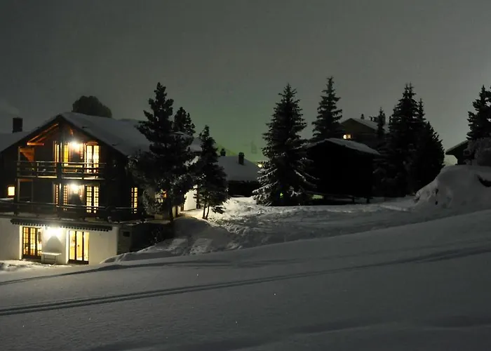 Goldblick * גראצ'ן