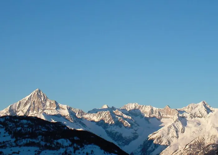 Goldblick גראצ'ן