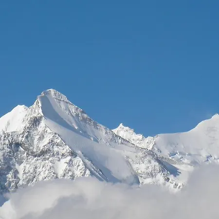Appartement Goldblick *