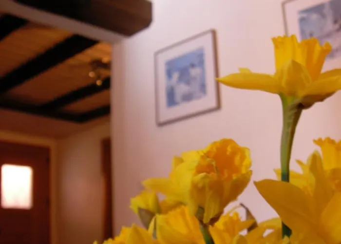 Goldblick グレヘン